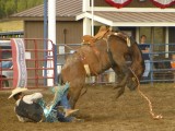 Rodeo
