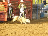Mini Rodeo