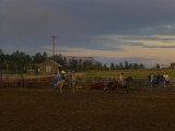 Cowboy vs Bull