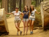 Tree girls