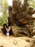 How big?