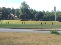Cricket