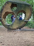Dennenappels gooien
