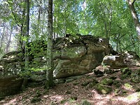 Gesteenten