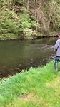 Vissen