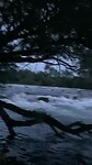 Rivier naast camping