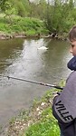 Vissen met zwaan