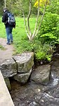 Stroompje