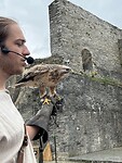 IMG_1339