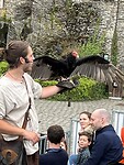 IMG_1352