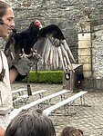 IMG_1358