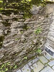 IMG_1363