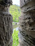 IMG_1364
