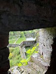 IMG_1406
