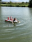 IMG_2574
