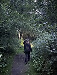IMG_2584