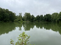 IMG_2565