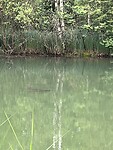 IMG_2564