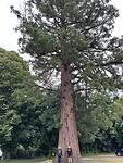 IMG_2567