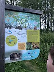 IMG_2581