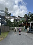 IMG_2587