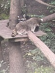 IMG_2589