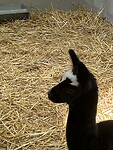 IMG_2593