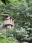 IMG_2595