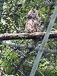 IMG_2597