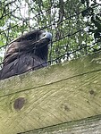 IMG_2598