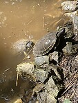 IMG_2603