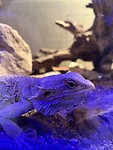 IMG_2605