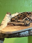 IMG_2606
