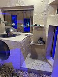 IMG_2609