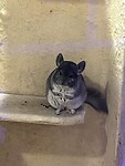 IMG_2611