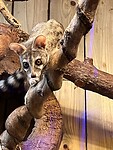 IMG_2618