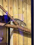 IMG_2621