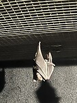 IMG_2625