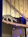IMG_2623