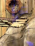 IMG_2620