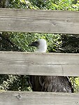 IMG_2629