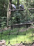 IMG_2630