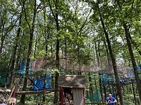 IMG_2631