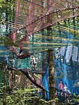 IMG_2632