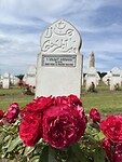 IMG_2728
