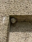 IMG_2735