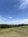 IMG_2750