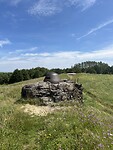 IMG_2752