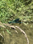IMG_2839