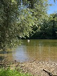 IMG_2841